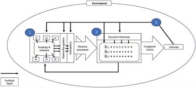 Cognition in elite soccer players: a general model